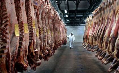 El año pasado la Argentina colocó en el mundo carne vacuna por US$2972,2 millones, un 8,6% más en valor versus 2023